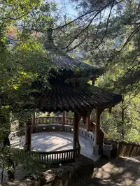 福建武夷山,徒步在最美茶道,看盡丹霞風貌