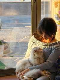 平潭這家海景民宿也太治癒了！面朝大海撸貓太幸福