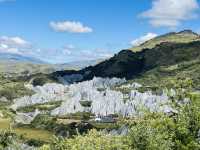 中國墨石公園！（874）