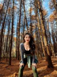 成都2小時直達！免費秘境松林灣，遛娃不費力