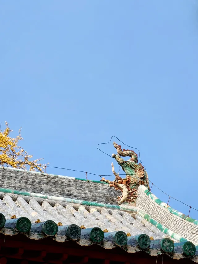 我宣佈,這是我河南最中意的小木頭房子 我宣佈,這是我河南最中意的小木頭房子