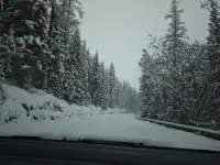 4大2小｜阿勒泰禾木喀納斯美到失語的秋假