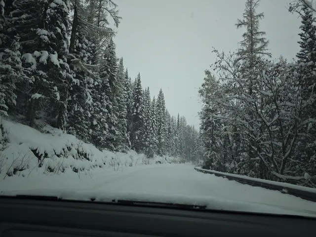 4大2小｜阿勒泰禾木喀納斯美到失語的秋假