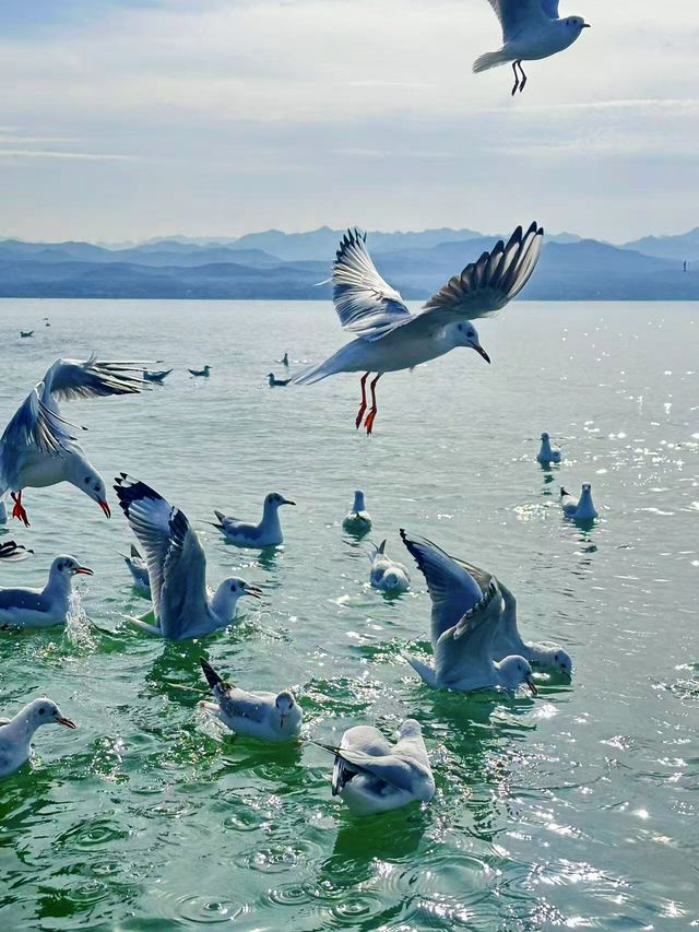 在陸渾,打撈一場盛大的日落 在陸渾,打撈一場盛大的日落
