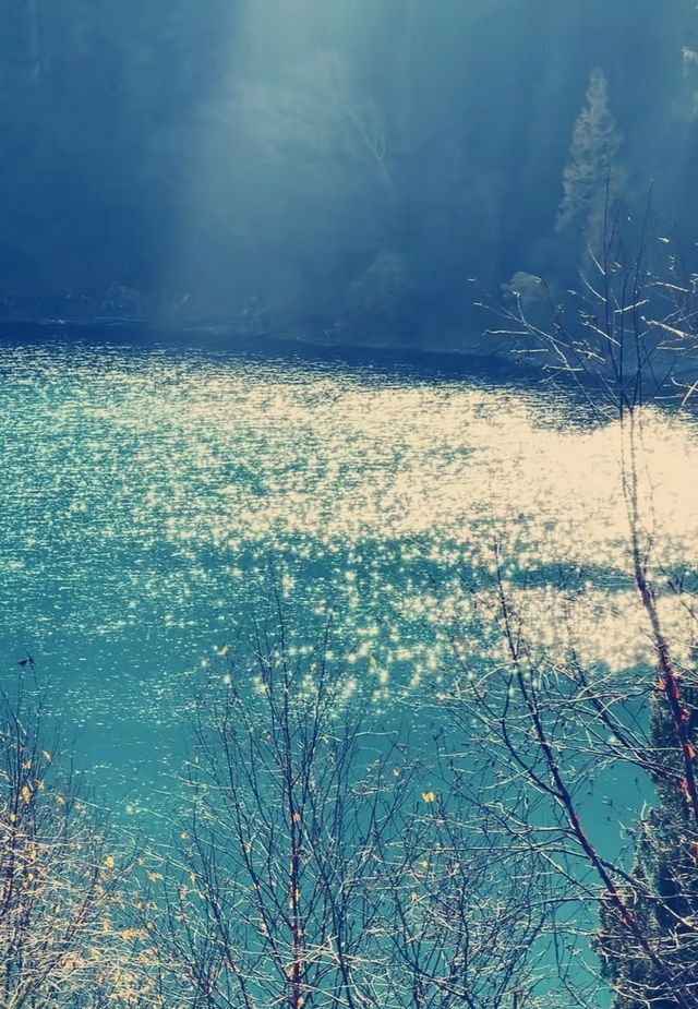 秋日童話九寨溝