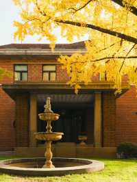 清晨8點,我拍到了樹的呼吸聲!