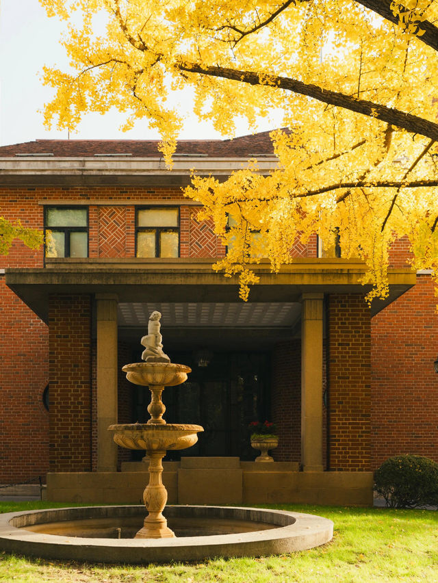 清晨8點,我拍到了樹的呼吸聲! 清晨8點,我拍到了樹的呼吸聲!