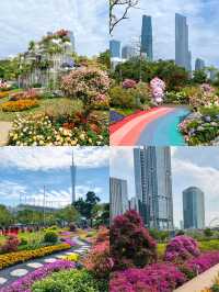 深圳這裡也太美了吧！！