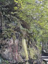 縱覽雲飛石~空中觀景台