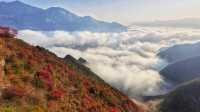 三峽紅葉與雲海,太美啦!