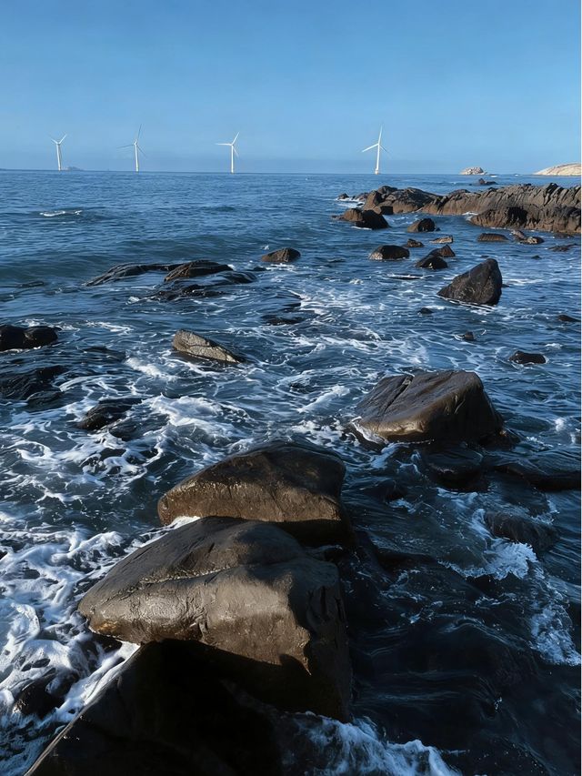 路的盡頭是海,但自由沒有盡頭 路的盡頭是海,但自由沒有盡頭