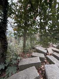 長沙 / 岳麓山景區