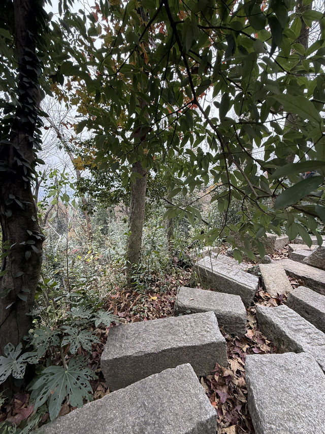 長沙 / 岳麓山景區 長沙 / 岳麓山景區