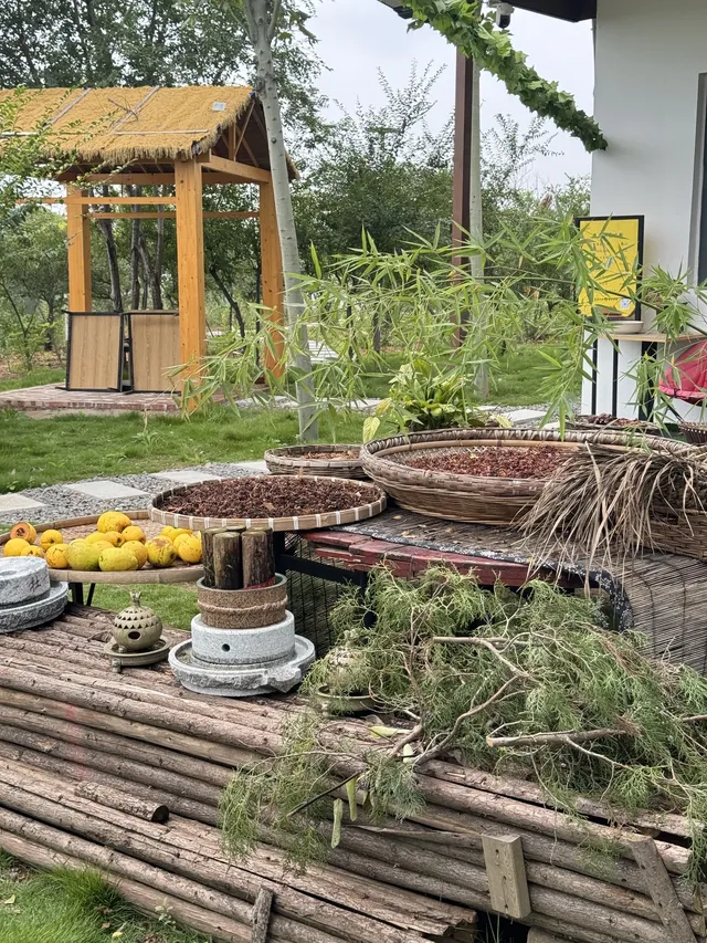 洛陽|週末泡溫泉逛少林寺親子兩日遊 洛陽|週末泡溫泉逛少林寺親子兩日遊