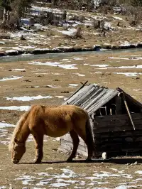 長坪溝美哭！雪山草甸徒步真的太治癒