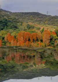 18圖帶你看深圳秋冬限定美景