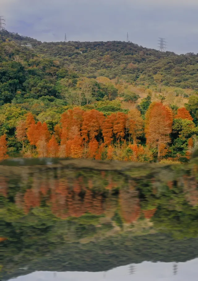 18圖帶你看深圳秋冬限定美景 18圖帶你看深圳秋冬限定美景