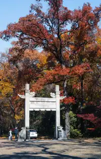 人你好,我是靈谷寺的咪,來看看我和秋天嗎