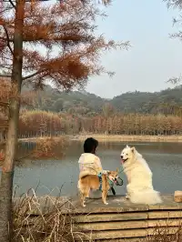 12.1實況live紹興鳳凰山美翻了!!!!!!