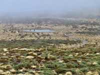 私享路線3-新西蘭北島人不多