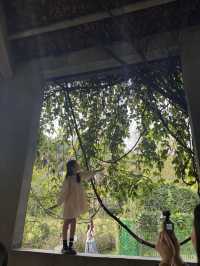 華南植物園拍照吸氧全攻略｜逃離城市計劃來啦