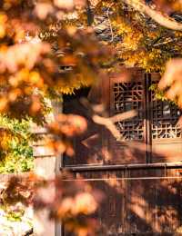 鹽官兩人,跳出朝九晚五