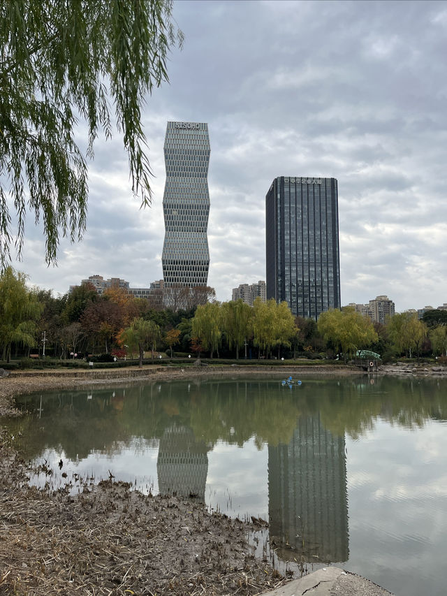 我打卡了新虹橋中心花園