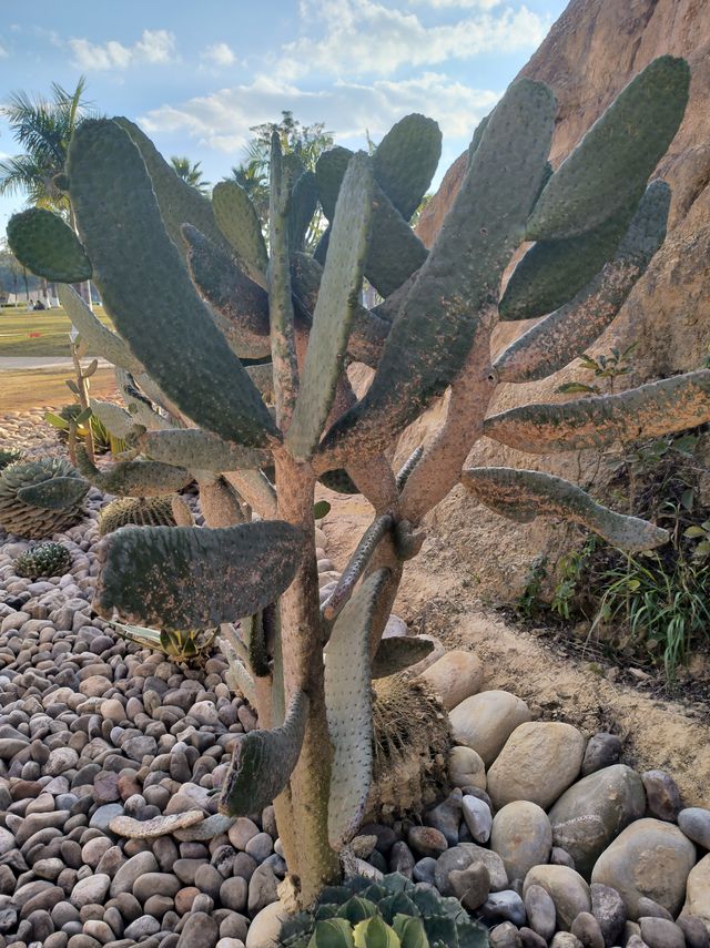 建水五龍湖四重奏 建水五龍湖四重奏