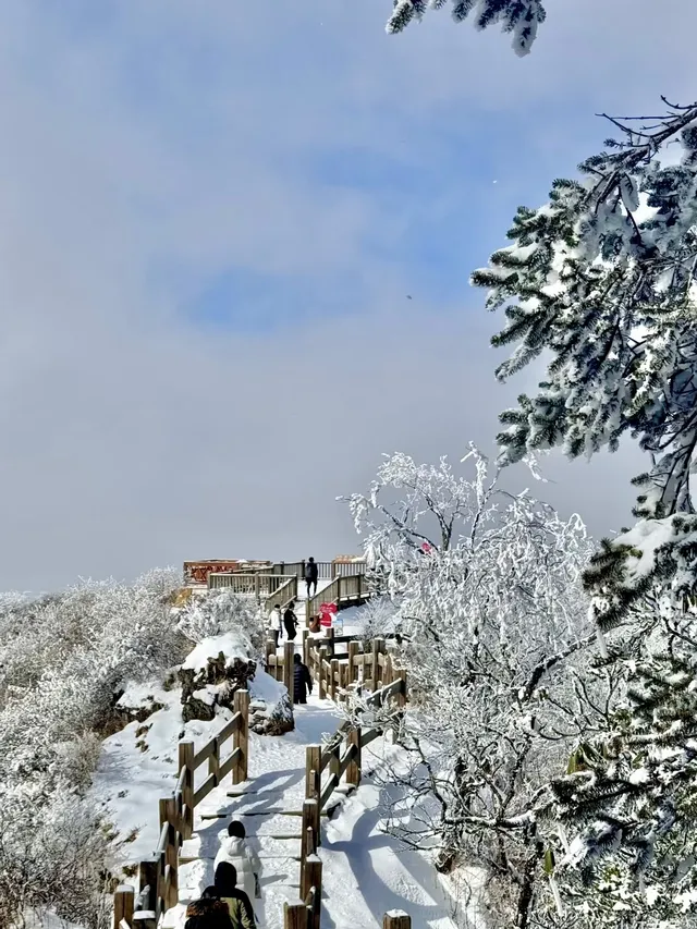 西嶺雪山下雪實況！1日遊成都往返才花68