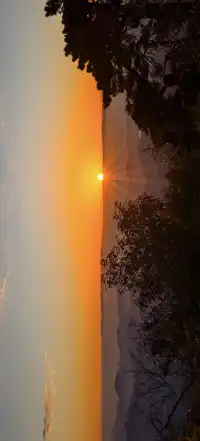 上海出發~三清山篁嶺兩日遊(三清山篇)