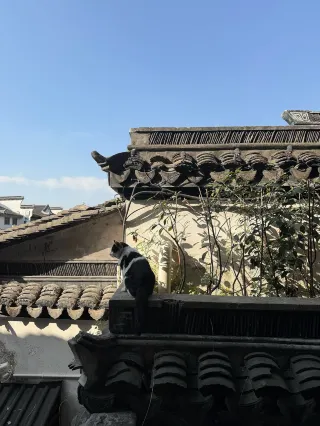 走走青石瓦 坐坐烏篷船