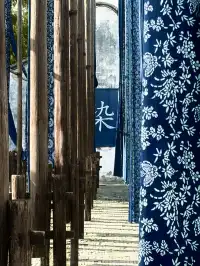 烏鎮什麼時候免門票?