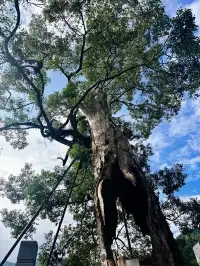 霧裡山川+晴日古村瀋陽江西8日「搲羊毛」攻略