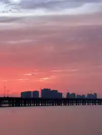 迄今為止最愛的一條深圳citywalk看海路線