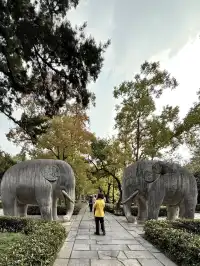 我在南京拍到了莫奈的睡蓮,想看看你拍的