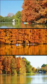 終於等來上海天花板水杉林的封神期附攻略