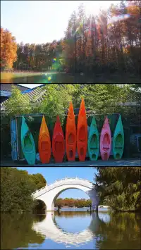 終於等來上海天花板水杉林的封神期附攻略