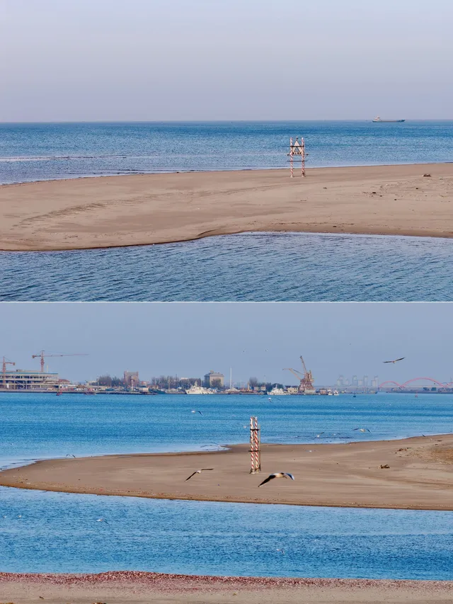 淡季的煙台,簡直是人間理想! 淡季的煙台,簡直是人間理想!