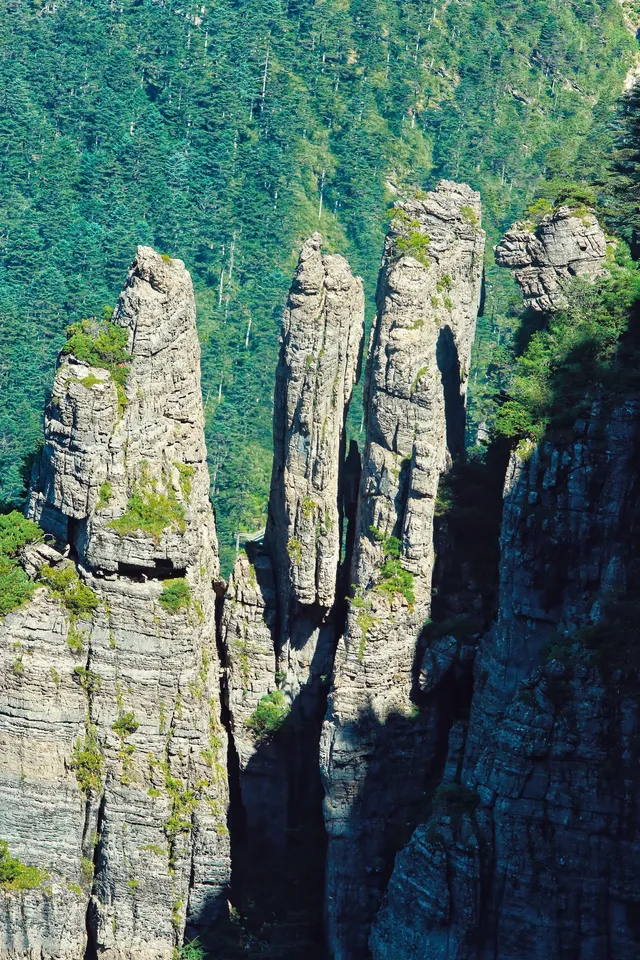 神農谷底實拍‖走進仙境裡了 神農谷底實拍‖走進仙境裡了