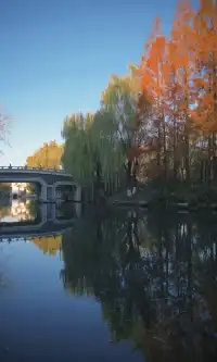 此刻大明湖 像是被打翻的調色盤映射在人間