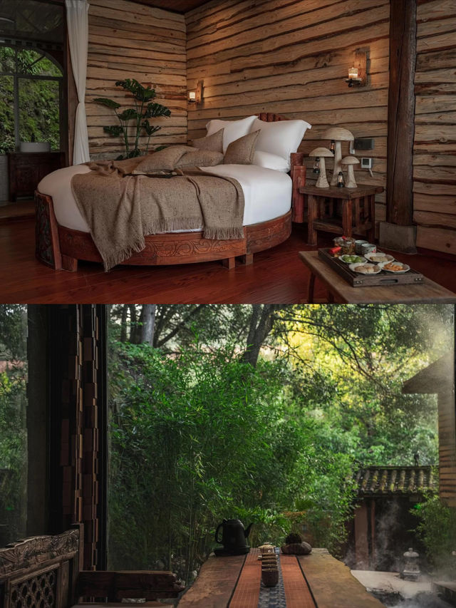 住進森林樹屋吸氧躺平治癒所有疲憊