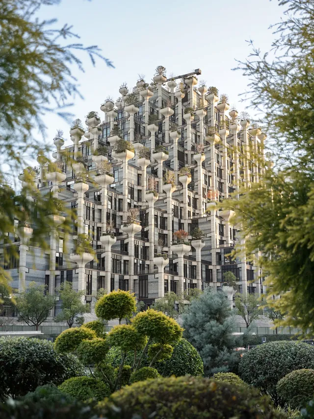 千樹最佳拍照打卡路線來了! 千樹最佳拍照打卡路線來了!