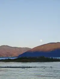 12月的洱海邊,彩林和海鷗也太配了吧