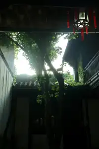 去迅哥家,從進門開始就一直在出片