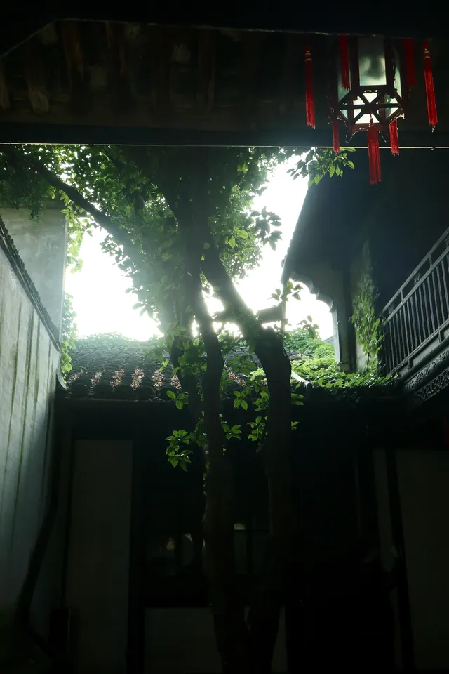 去迅哥家,從進門開始就一直在出片 去迅哥家,從進門開始就一直在出片