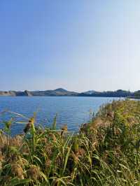 神仙湖絕美婚紗取景地