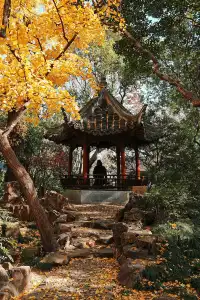 被驚艷到了!不用出滬也能欣賞到紅楓美景!