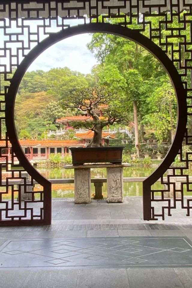 深圳仙湖植物園|遛娃寶藏地打卡賞花絕佳去處 深圳仙湖植物園|遛娃寶藏地打卡賞花絕佳去處
