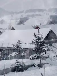 阿達西,今年的禾木我來看了