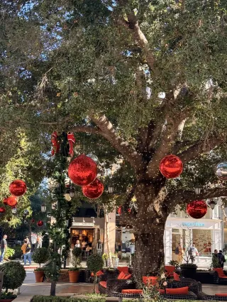 Christmas in the Bay Area | Santana Row